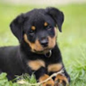 Meet your Posher, Ashlynn